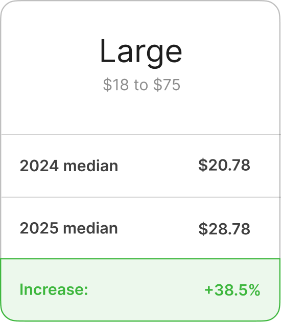 Contribution Margin Improvement - Large